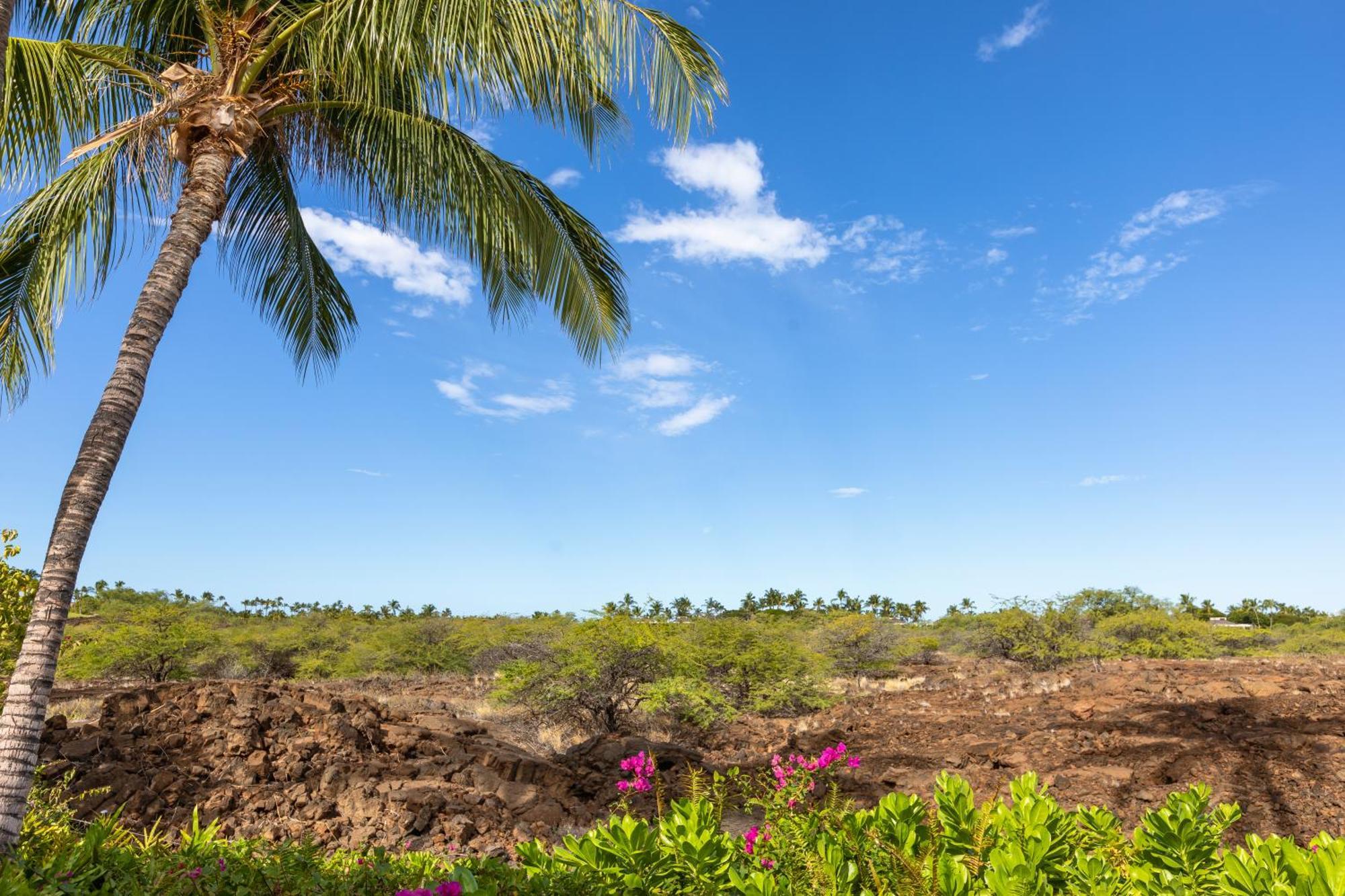 Mauna Lani Palm Villas D-2 Corner Unit Historic View Waikoloa Kültér fotó