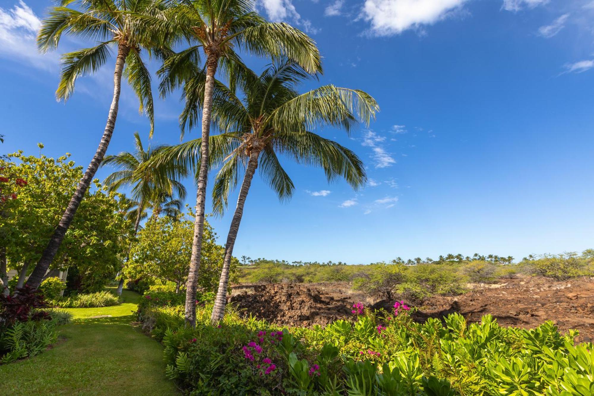 Mauna Lani Palm Villas D-2 Corner Unit Historic View Waikoloa Kültér fotó